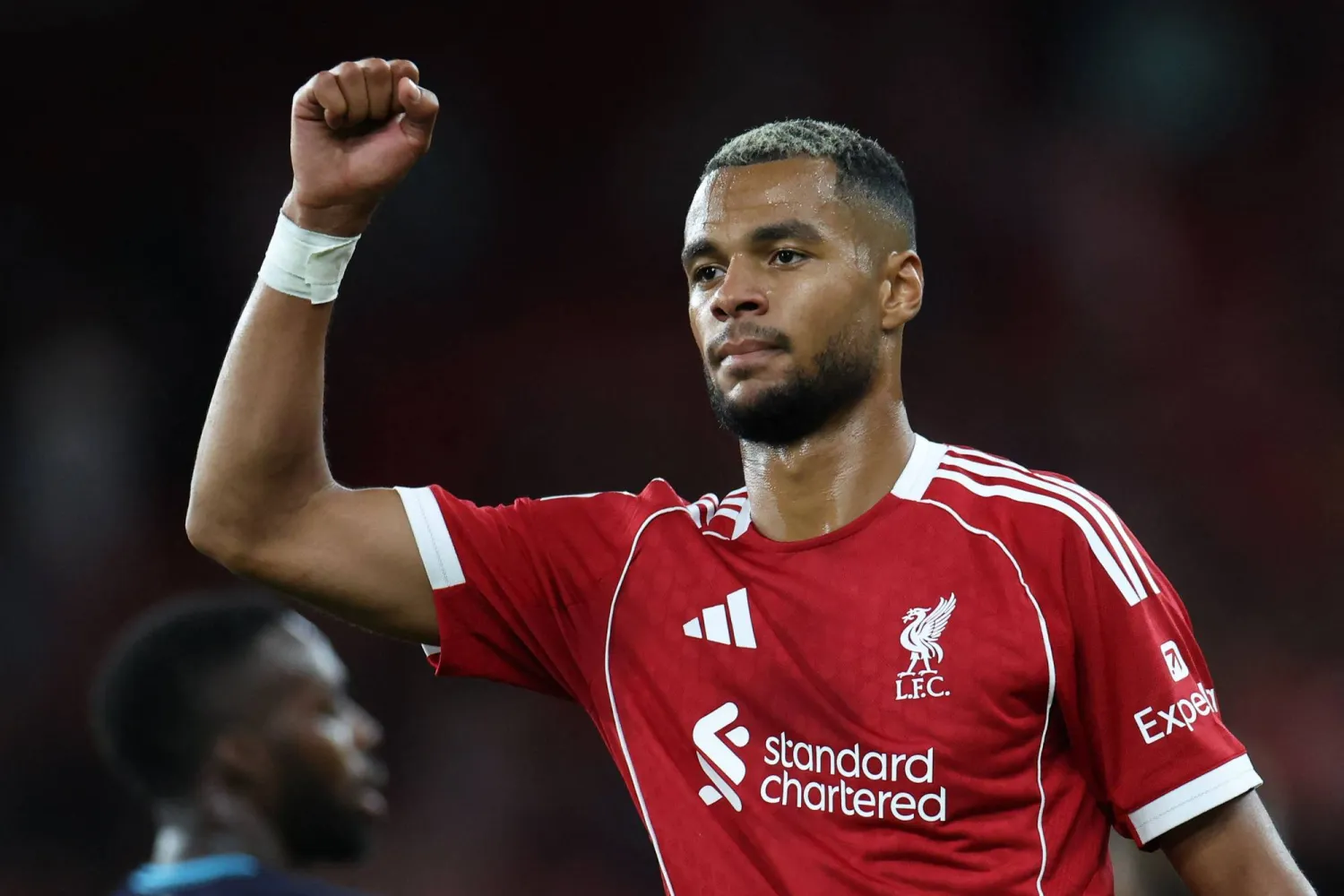 ليفربول يصعق توتنهام.. شرط مالي فلكي يحدد مصير كودي جاكبو في ميركاتو 2026