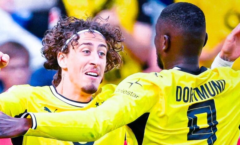 ملخص مباراة هوفنهايم ضد بوروسيا دورتموند. النتيجة والأهداف والترتيب والإحصائيات